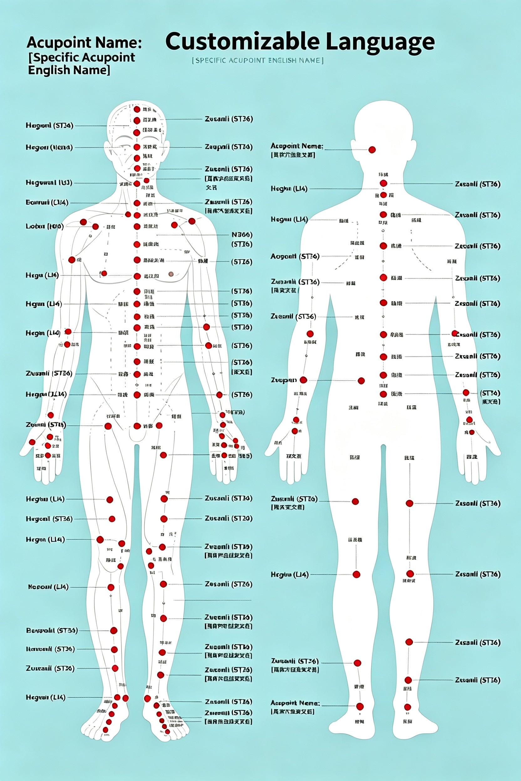 SML English Version 68 Home Wellness Acupoints Illustrated Guide – Beginner Meridian Massage Manual