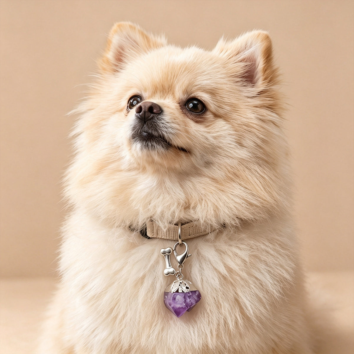 RYS Natural Amethyst Pet Pendant, DIY Crystal Keychain Bag Charm for Pets