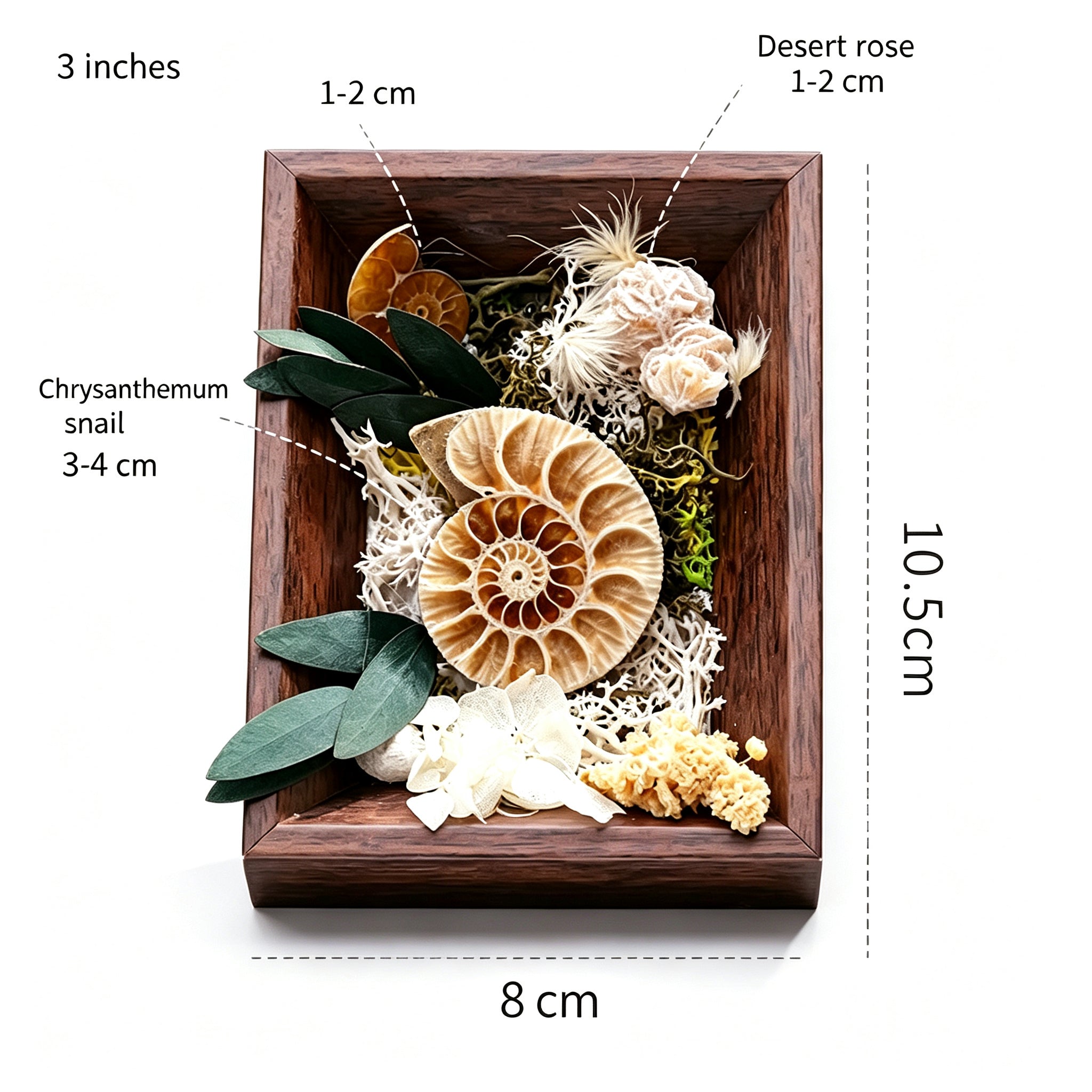 RYS 3-Inch Natural Crystal & Preserved Flower Photo Frame Ornament, Gift Box Set,Handcrafted Home Decor