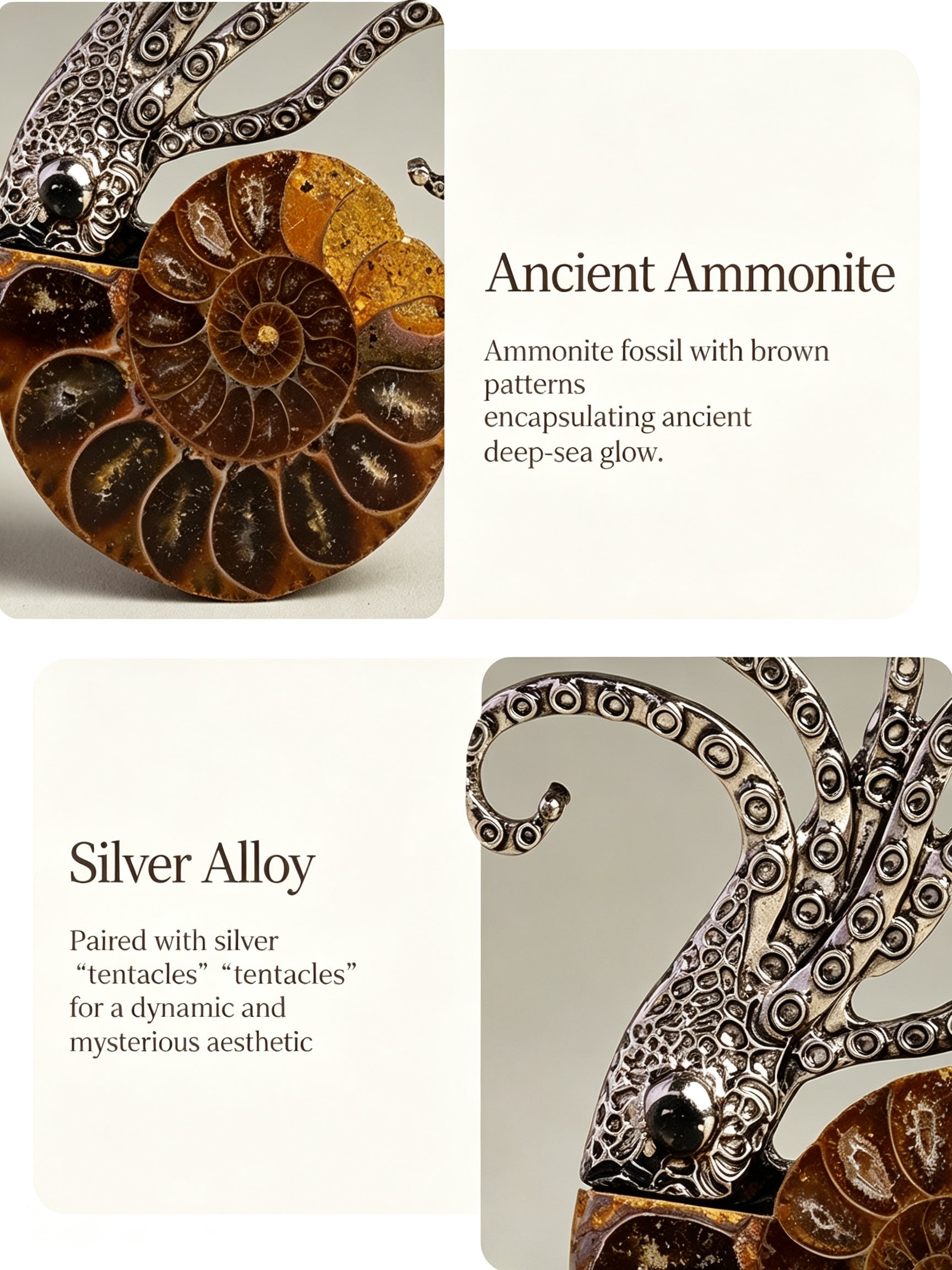 RYS Natural Ammonite Fossil Jewelry Brooch Necklace Earrings Set
