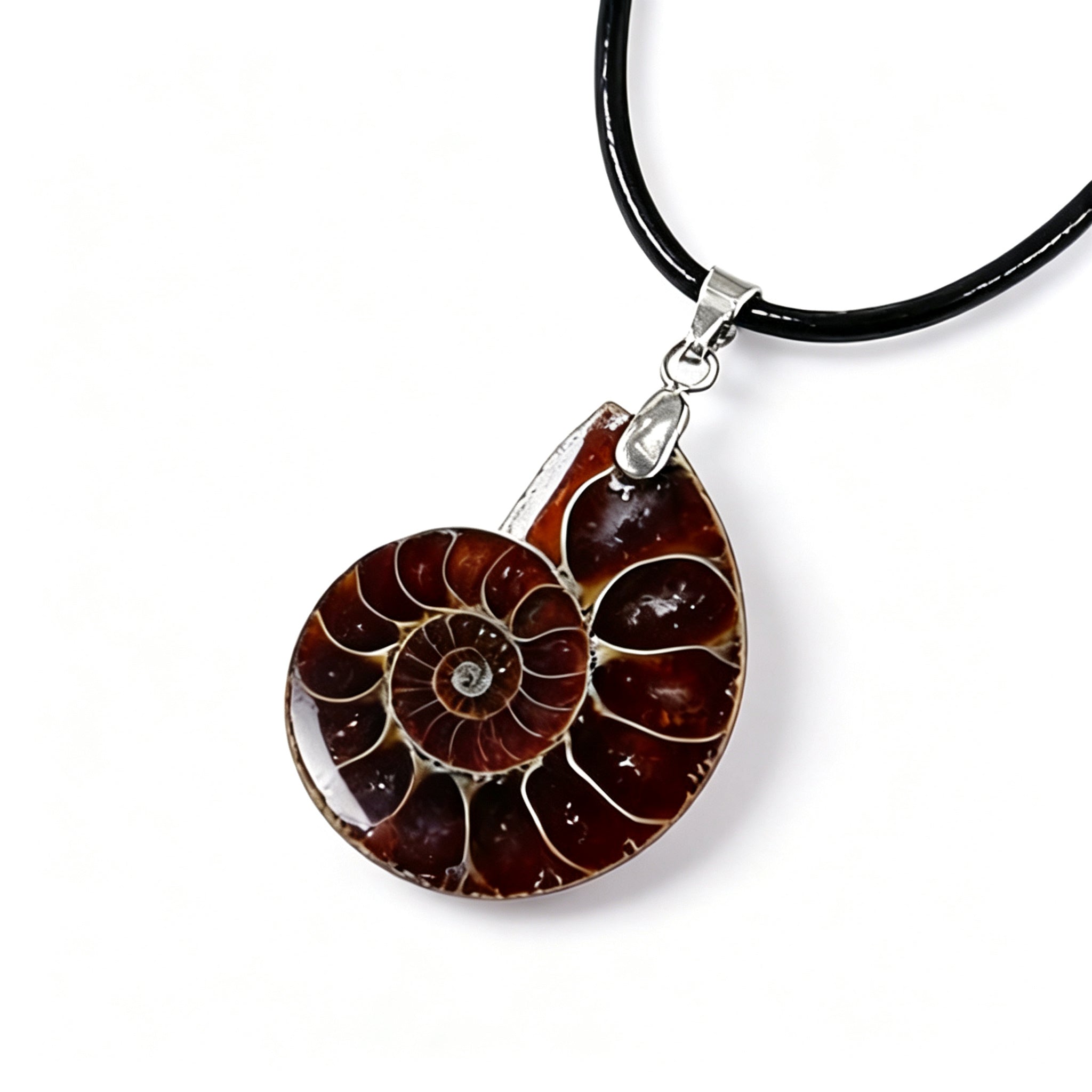 RYS Natural Ammonite Fossil Jewelry Brooch Necklace Earrings Set