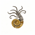 RYS Natural Ammonite Fossil Jewelry Brooch Necklace Earrings Set