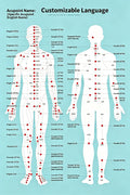 SML Custom Language 68 Acupoints Wellness Guide | Manual Link Delivery | 3 Working Days Delivery